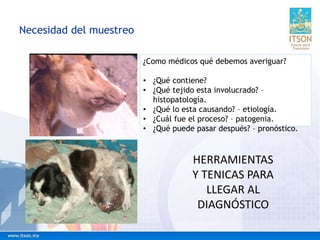 Necesidad del muestreo
¿Como médicos qué debemos averiguar?
• ¿Qué contiene?
• ¿Qué tejido esta involucrado? –
histopatología.
• ¿Qué lo esta causando? – etiología.
• ¿Cuál fue el proceso? – patogenia.
• ¿Qué puede pasar después? – pronóstico.
HERRAMIENTAS
Y TENICAS PARA
LLEGAR AL
DIAGNÓSTICO
 