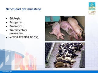 Necesidad del muestreo
• Etiología.
• Patogenia.
• Pronóstico.
• Tratamiento y
prevención.
• MENOR PERDIDA DE $$$
 