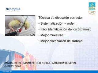 Necropsia
Técnica de disección correcta:
• Sistematización = orden.
• Fácil identificación de los órganos.
• Mejor muestreo.
• Mejor distribución del trabajo.
MANUAL DE TECNICAS DE NECROPSIA PATOLOGIA GENERAL.
QUIRON. email.
 