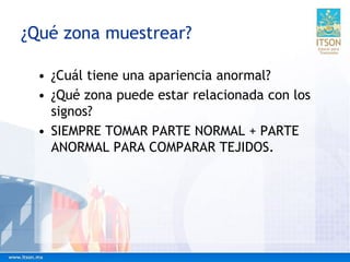 ¿Qué zona muestrear?
• ¿Cuál tiene una apariencia anormal?
• ¿Qué zona puede estar relacionada con los
signos?
• SIEMPRE TOMAR PARTE NORMAL + PARTE
ANORMAL PARA COMPARAR TEJIDOS.
 