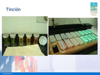 Tinción
 