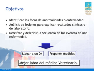 Objetivos
• Identificar los focos de anormalidades o enfermedad.
• Análisis de lesiones para explicar resultados clínicos y
de laboratorio.
• Descifrar y describir la secuencia de los eventos de una
enfermedad.
Mejor labor del médico Veterinario.
Llegar a un Dx Proponer medidas
 