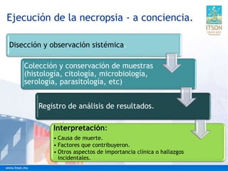 Ejecución de la necropsia - a conciencia.
Disección y observación sistémica.
Colección y conservación de muestras
(histología, citología, microbiología,
serología, parasitología, etc)
Registro de análisis de resultados.
Interpretación:
• Causa de muerte.
• Factores que contribuyeron.
• Otros aspectos de importancia clínica o hallazgos
incidentales.
 