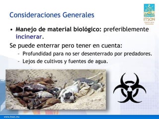 • Manejo de material biológico: preferiblemente
incinerar.
Se puede enterrar pero tener en cuenta:
– Profundidad para no ser desenterrado por predadores.
– Lejos de cultivos y fuentes de agua.
Consideraciones Generales
 