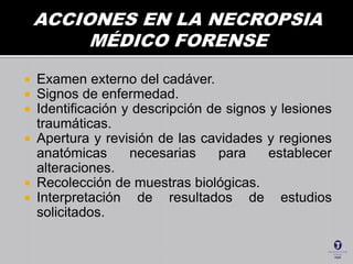  Examen externo del cadáver.
 Signos de enfermedad.
 Identificación y descripción de signos y lesiones
traumáticas.
 Apertura y revisión de las cavidades y regiones
anatómicas necesarias para establecer
alteraciones.
 Recolección de muestras biológicas.
 Interpretación de resultados de estudios
solicitados.
 