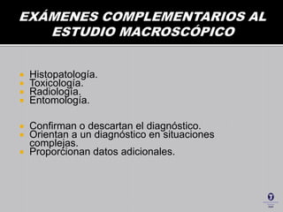  Histopatología.
 Toxicología.
 Radiología.
 Entomología.
 Confirman o descartan el diagnóstico.
 Orientan a un diagnóstico en situaciones
complejas.
 Proporcionan datos adicionales.
 