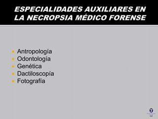  Antropología
 Odontología
 Genética
 Dactiloscopía
 Fotografía
 