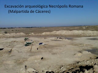 Excavación arqueológica Necrópolis Romana
  (Malpartida de Cáceres)
 