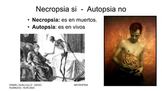 • Necropsia: es en muertos.
• Autopsia: es en vivos
Necropsia si - Autopsia no
DANIEL HUALLULLO GAGO,
HUÁNUCO, 16-05 2023
NECROPSIA 10
 