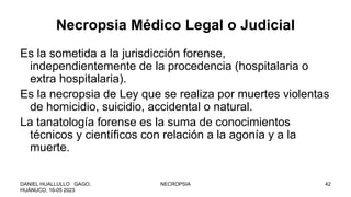 Necropsia Médico Legal o Judicial
Es la sometida a la jurisdicción forense,
independientemente de la procedencia (hospitalaria o
extra hospitalaria).
Es la necropsia de Ley que se realiza por muertes violentas
de homicidio, suicidio, accidental o natural.
La tanatología forense es la suma de conocimientos
técnicos y científicos con relación a la agonía y a la
muerte.
DANIEL HUALLULLO GAGO,
HUÁNUCO, 16-05 2023
NECROPSIA 42
 