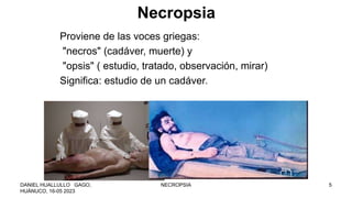 Necropsia
Proviene de las voces griegas:
"necros" (cadáver, muerte) y
"opsis" ( estudio, tratado, observación, mirar)
Significa: estudio de un cadáver.
DANIEL HUALLULLO GAGO,
HUÁNUCO, 16-05 2023
NECROPSIA 5
 