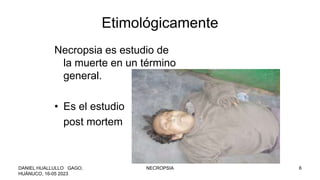 Etimológicamente
Necropsia es estudio de
la muerte en un término
general.
• Es el estudio
post mortem
DANIEL HUALLULLO GAGO,
HUÁNUCO, 16-05 2023
NECROPSIA 6
 