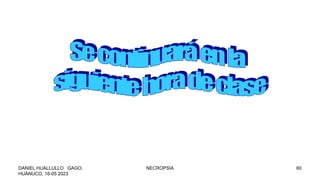 DANIEL HUALLULLO GAGO,
HUÁNUCO, 16-05 2023
NECROPSIA 60
 