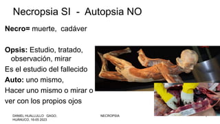 Necropsia SI - Autopsia NO
Necro= muerte, cadáver
Opsis: Estudio, tratado,
observación, mirar
Es el estudio del fallecido
Auto: uno mismo,
Hacer uno mismo o mirar o
ver con los propios ojos
DANIEL HUALLULLO GAGO,
HUÁNUCO, 16-05 2023
NECROPSIA 7
 