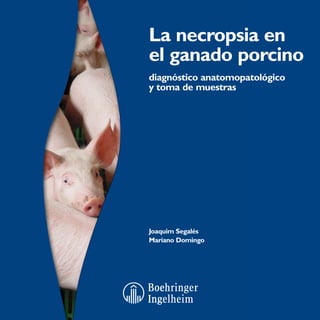 La necropsia en
el ganado porcino
diagnóstico anatomopatológico
y toma de muestras

Joaquim Segalés
Mariano Domingo

 
