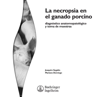 La necropsia en
el ganado porcino
diagnóstico anatomopatológico
y toma de muestras

Joaquim Segalés
Mariano Domingo

 