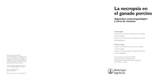 La necropsia en
el ganado porcino
diagnóstico anatomopatológico
y toma de muestras

Dr. Joaquim Segalés
Profesor Titular de Universidad en la Unidad Docente de Histología
y Anatomía Patológica.
Diplomado por el Colegio Europeo en Patología Veterinaria (ECVP)
joaquim.segales@uab.es

Dr. Mariano Domingo
Catedrático de Universidad en la Unidad Docente de Histología
y Anatomía Patológica.
Diplomado por el Colegio Europeo en Patología Veterinaria (ECVP)
mariano.domingo@uab.es
Reservados todos los derechos.
No puede reproducirse, almacenarse en un
sistema de recuperación o transmitirse en
forma alguna por medio de cualquier procedimiento, sea éste mecánico, electrónico,
de fotocopia, grabación o cualquier otro sin
el previo permiso escrito del editor.
© 2003 Boehringer Ingelheim España, S.A.
www.boehringer-ingelheim.es/veterinaria
Depósito legal: B-3696-04
ISBN: 84-688-5260-0
Diseño: Servet, Diseño y Comunicación S.L.

Centre de Recerca en Sanitat Animal (CReSA)
Departament de Sanitat i d’Anatomia Animals,
Facultat de Veterinària, Universitat Autònoma de Barcelona,
08193 Bellaterra - Barcelona.

 