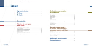 La necropsia en el ganado porcino, diagnóstico anatomopatológico y toma de muestras

Indice

Índice
Agradecimientos
Prólogo
Prefacio

7

...........................................................................................................

8

Evaluación macroscópica
de las vísceras

...........................................................................................................................................................

Piel
9

.........................................................................................................................................................

46

........................................................................................................................................................................................

Tejido subcutáneo

52

..........................................................................................................................................................

Aparato respiratorio
Aparato digestivo
Hígado

64

...........................................................................................................................................................

80

.................................................................................................................................................................................

Sistema cardiovascular

Introducción

96

Aparato locomotor

100

............................................................................................................................................

112

....................................................................................................................................................

30

Toma de muestras para
el estudio histopatológico
y consideraciones prácticas

36

Preparación y examen externo del cadáver

Fijación de las muestras

40

Características de las muestras a tomar

42

Envío de las muestras al laboratorio

14

.....................................................................................................

20

...................................................................................................................................................

Estudio de los órganos de la cavidad abdominal
Estudio de los órganos de la cavidad torácica

24

............................................................................................

.................................................................................................

.....................................................................................................................................................

Estudio de los nódulos linfáticos y médula ósea
Estudio del aparato locomotor

90

.........................................................................

............................................................................................................................................................

Aparato génito-urinario

Técnica de necropsia
en el cerdo

Estudio de la cabeza

84

..................................................................................................................................................

Sistema linfático (nódulos linfáticos, tonsilas, timo y bazo)
Sistema nervioso

Apertura del cadáver

54

.....................................................................................................................................................

.............................................................................................

...............................................................................................................................

118

..........................................................................................................................................

Diagnóstico histopatológico

120

...........................................................................................................

122

..................................................................................................................

123

...................................................................................................................................

Bibliografía recomendada
Índice alfabético

124

.........................................................

125

.........................................................................................................

4

5

 