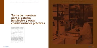La necropsia en el ganado porcino, diagnóstico anatomopatológico y toma de muestras

Toma de muestras para el estudio patológico y otras consideraciones prácticas

Toma de muestras
para el estudio
patológico y otras
consideraciones prácticas
En todos los casos, la toma de muestras
dependerá directamente del tipo de patología de la que se sospecha. Es decir, para
cada enfermedad sería conveniente tener
un protocolo específico de toma de muestras, ya no sólo para histopatología, sino
para cada tipo de test o prueba que se precise realizar.
No obstante, en este apartado se aportan
unas ideas básicas de cuáles son las muestras a tomar, y cómo tomarlas, en caso de
que se desee realizar un estudio histopatológico. En primer lugar es necesario considerar que estas muestras se deben fijar en
formol previamente a todo procesado que
se pretenda realizar. Lo ideal es fijar la muestra tan pronto como sea posible, siendo
deseable que ello se dé en la propia granja.

116

117

 