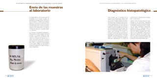 La necropsia en el ganado porcino, diagnóstico anatomopatológico y toma de muestras

Envío de las muestras
al laboratorio
Es indispensable una correcta rotulación del
contenedor de la muestra tomada, con
identificación de granja, número del animal, y
tipo de muestra o muestras que contiene.
Además de este tipo de información, también debe incluirse un resumen de la historia clínica, listado de las muestras remitidas, la
sospecha de la problemática y los datos de
contacto del veterinario o granjero (teléfono y dirección).
Las muestras correctamente etiquetadas y
referenciadas en botes de plástico de cierre
hermético no necesitan refrigeración. Lógicamente, se debe incluir una referencia adecuada en el exterior del paquete que se
remite, incluyendo claramente la dirección
del remitente y la del laboratorio de destino.
Para facilitar un diagnóstico histopatológico
lo más rápido posible, se recomienda el
transporte urgente de la muestra al laboratorio de diagnóstico.

122

Toma de muestras para el estudio patológico y otras consideraciones prácticas

Diagnóstico histopatológico
Cabe recordar que el procesado de las
muestras para histopatología requiere unas
18-24 horas de fijación (tiempo que generalmente ya se consigue desde que la muestra es fijada hasta que llega al laboratorio), y
aproximadamente unas 24 horas más para
la realización de los procesos de corte de la
muestra, inclusión en parafina, corte del bloque de parafina en secciones de 4 µm, y tinción con hematoxilina y eosina. Una vez realizados estos procesos, la muestra se
encuentra a punto para ser examinada por
el patólogo. En caso de petición de técnicas
especiales, inmunohistoquímicas o de hibridación in situ (para la detección de agentes
infecciosos, generalmente), se precisa al

menos entre 24 y 48 horas más de tiempo
para su consecución.
Desde un punto de vista práctico, la histopatología es una herramienta diagnóstica
excelente para orientar problemas patológicos de difícil caracterización clínica y problemas de origen neurológico. Lógicamente,
también permite la correlación entre la
detección de agentes infecciosos y la existencia de lesiones asociadas. Este último
punto es muy importante, y cada vez más,
dado que la detección de un agente infeccioso no supone necesariamente que éste
sea la causa de la problemática clínica o de
las lesiones macroscópicas observadas.

123

 