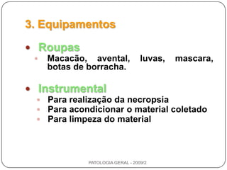 3. EquipamentosRoupasMacacão, avental, luvas, mascara, botas de borracha.InstrumentalPara realização da necropsiaPara acondicionar o material coletadoPara limpeza do materialPATOLOGIA GERAL - 2009/2