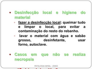 Desinfecção local e higiene do materialfazer a desinfecção local: queimar tudo e limpar o local, para evitar a contaminação do resto do rebanho.lavar o material com água e sabão grosso, desinfetante, usar forno, autoclave.Casos em que não se realiza necropsia“Carbúnculo hemático”(Bacillus anthracis)PATOLOGIA GERAL - 2009/2
