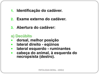 ROTEIRO RESUMIDO DA TÉCNICA DE NECROPSIA