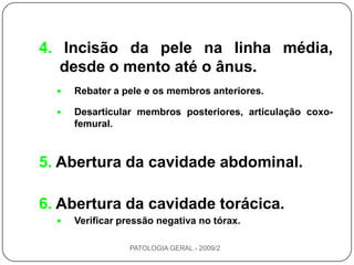 Identificação do cadáver.Exame externo do cadáver.Abertura do cadáver:a) Decúbitodorsal, melhor posiçãolateral direito - eqüinoslateral esquerdo - ruminantescabeça do animal, à esquerda do necropsista (destro).PATOLOGIA GERAL - 2009/2