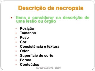7. Exame das cavidades abdominal e torácica.8. Remoção e exame dos órgãos torácicos.9. Abertura da cavidade craniana e canal medular.10. Exame dos músculos, ossos e articulações.11. Final da necropsia (eliminação do cadáver).12. Registro escrito de todas os achados de necropsia.PATOLOGIA GERAL - 2009/2