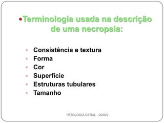 Descrição da necropsiaItens a considerar na descrição de uma lesão ou órgãoPosiçãoTamanhoPeso  CorConsistência e texturaOdorSuperfície de corteFormaConteúdosPATOLOGIA GERAL - 2009/2