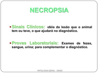 NECROPSIASinais Clínicos:idéia da lesão que o animal tem ou teve, o que ajudará no diagnóstico.Provas Laboratoriais:Exames de fezes, sangue, urina; para complementar o diagnóstico.PATOLOGIA GERAL - 2009/2