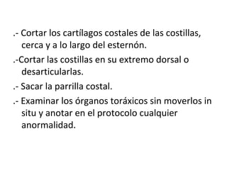 .- Cortar los cartílagos costales de las costillas, cerca y a lo largo del esternón. .-Cortar las costillas en su extremo dorsal o desarticularlas. .- Sacar la parrilla costal. .- Examinar los órganos toráxicos sin moverlos in situ y anotar en el protocolo cualquier anormalidad. 