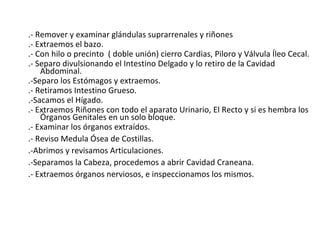 .- Remover y examinar glándulas suprarrenales y riñones .- Extraemos el bazo. .- Con hilo o precinto  ( doble unión) cierro Cardias, Piloro y Válvula Íleo Cecal. .- Separo divulsionando el Intestino Delgado y lo retiro de la Cavidad Abdominal. .-Separo los Estómagos y extraemos. .- Retiramos Intestino Grueso. .-Sacamos el Hígado.  .- Extraemos Riñones con todo el aparato Urinario, El Recto y si es hembra los Órganos Genitales en un solo bloque. .- Examinar los órganos extraídos. .- Reviso Medula Ósea de Costillas. .-Abrimos y revisamos Articulaciones. .-Separamos la Cabeza, procedemos a abrir Cavidad Craneana. .- Extraemos órganos nerviosos, e inspeccionamos los mismos. 