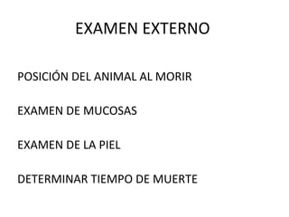 EXAMEN EXTERNO  POSICIÓN DEL ANIMAL AL MORIR EXAMEN DE MUCOSAS EXAMEN DE LA PIEL DETERMINAR TIEMPO DE MUERTE 