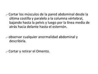 .- Cortar los músculos de la pared abdominal desde la última costilla y paralelo a la columna vértebral, bajando hasta la pelvis y luego por la línea media de atrás hacia delante hasta el esternón. .- observar cualquier anormalidad abdominal y describirla. .- Cortar y retirar el Omento. 