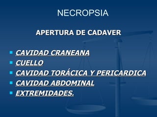 APERTURA DE CADAVER CAVIDAD CRANEANA CUELLO CAVIDAD TORÁCICA Y PERICARDICA CAVIDAD ABDOMINAL EXTREMIDADES. NECROPSIA 