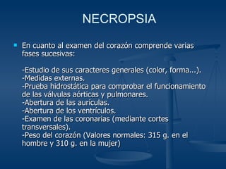 En cuanto al examen del corazón comprende varias fases sucesivas: -Estudio de sus caracteres generales (color, forma...). -Medidas externas. -Prueba hidrostática para comprobar el funcionamiento de las válvulas aórticas y pulmonares. -Abertura de las aurículas. -Abertura de los ventrículos. -Examen de las coronarias (mediante cortes transversales). -Peso del corazón (Valores normales: 315 g. en el hombre y 310 g. en la mujer) NECROPSIA 