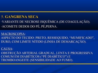 5.5. GANGRENA SECAGANGRENA SECA
-VARIANTE DE NECROSE ISQUÊMICA (DE COAGULAÇÃO).VARIANTE DE NECROSE ISQUÊMICA (DE COAGULAÇÃO).
-ACOMETE DEDOS DO PÉ, PÉ,PERNA.ACOMETE DEDOS DO PÉ, PÉ,PERNA.
MACROSCOPIAMACROSCOPIA::
ASPECTO DO TECIDO: PRETO, RESSEQUIDO, “MUMIFICADO”,ASPECTO DO TECIDO: PRETO, RESSEQUIDO, “MUMIFICADO”,
DURO, COM LIMITE NÍTIDO (LINHA DE DEMARCAÇÃO).DURO, COM LIMITE NÍTIDO (LINHA DE DEMARCAÇÃO).
CAUSACAUSA::
OBSTRUÇÃO ARTERIAL GRADUAL, LENTA E PROGRESSIVAOBSTRUÇÃO ARTERIAL GRADUAL, LENTA E PROGRESSIVA
COMUM EM DIABÉTICOS (“PÉ DIABÉTICO”) ECOMUM EM DIABÉTICOS (“PÉ DIABÉTICO”) E
TROMBOANGEITE (SENSIBILIDADE AO FUMO).TROMBOANGEITE (SENSIBILIDADE AO FUMO).
 