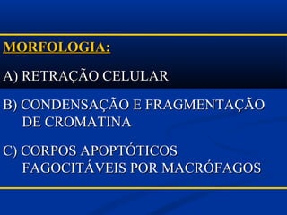 MORFOLOGIA:MORFOLOGIA:
A) RETRAÇÃO CELULARA) RETRAÇÃO CELULAR
B) CONDENSAÇÃO E FRAGMENTAÇÃOB) CONDENSAÇÃO E FRAGMENTAÇÃO
DE CROMATINADE CROMATINA
C) CORPOS APOPTÓTICOSC) CORPOS APOPTÓTICOS
FAGOCITÁVEIS POR MACRÓFAGOSFAGOCITÁVEIS POR MACRÓFAGOS
 