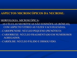 ASPECTOS MICROSCÓPICOS DA NECROSEASPECTOS MICROSCÓPICOS DA NECROSE::
MORFOLOGIA MICROSCÓPICAMORFOLOGIA MICROSCÓPICA::
- AS CÉLULAS NECRÓTICAS SÃO EOSINÓFILAS (RÓSEAS),- AS CÉLULAS NECRÓTICAS SÃO EOSINÓFILAS (RÓSEAS),
COM ASPECTO VITREO AS VEZES VACUOLIZADASCOM ASPECTO VITREO AS VEZES VACUOLIZADAS..
- CARIOPICNOSE: NÚCLEO PEQUENO (PICNÓTICO)- CARIOPICNOSE: NÚCLEO PEQUENO (PICNÓTICO)
- CARIORREXE: NÚCLEO FRAGMENTADO EM NUMEROSOS- CARIORREXE: NÚCLEO FRAGMENTADO EM NUMEROSOS
AGREGADOS.AGREGADOS.
- CARIÓLISE: NÚCLEO PÁLIDO E DISSOLVIDO.- CARIÓLISE: NÚCLEO PÁLIDO E DISSOLVIDO.
 