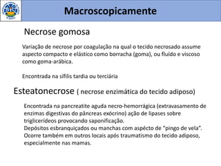 Macroscopicamente
Necrose gomosa
Variação de necrose por coagulação na qual o tecido necrosado assume
aspecto compacto e elástico como borracha (goma), ou fluído e viscoso
como goma-arábica.
Encontrada na sífilis tardia ou terciária
Esteatonecrose ( necrose enzimática do tecido adiposo)
Encontrada na pancreatite aguda necro-hemorrágica (extravasamento de
enzimas digestivas do pâncreas exócrino) ação de lipases sobre
triglicerídeos provocando saponificação.
Depósitos esbranquiçados ou manchas com aspécto de “pingo de vela”.
Ocorre também em outros locais após traumatismo do tecido adiposo,
especialmente nas mamas.
 