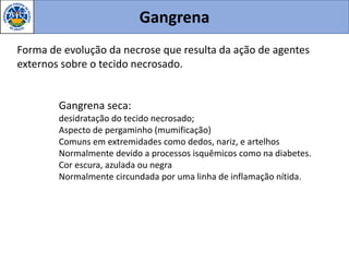 Gangrena
Forma de evolução da necrose que resulta da ação de agentes
externos sobre o tecido necrosado.
Gangrena seca:
desidratação do tecido necrosado;
Aspecto de pergaminho (mumificação)
Comuns em extremidades como dedos, nariz, e artelhos
Normalmente devido a processos isquêmicos como na diabetes.
Cor escura, azulada ou negra
Normalmente circundada por uma linha de inflamação nítida.
 