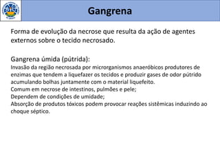 Gangrena
Forma de evolução da necrose que resulta da ação de agentes
externos sobre o tecido necrosado.
Gangrena úmida (pútrida):
Invasão da região necrosada por microrganismos anaeróbicos produtores de
enzimas que tendem a liquefazer os tecidos e produzir gases de odor pútrido
acumulando bolhas juntamente com o material liquefeito.
Comum em necrose de intestinos, pulmões e pele;
Dependem de condições de umidade;
Absorção de produtos tóxicos podem provocar reações sistêmicas induzindo ao
choque séptico.
 