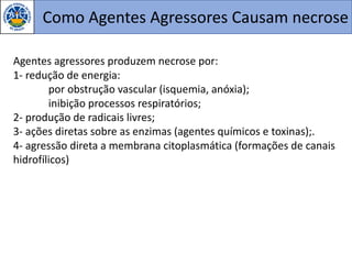 Como Agentes Agressores Causam necrose
Agentes agressores produzem necrose por:
1- redução de energia:
por obstrução vascular (isquemia, anóxia);
inibição processos respiratórios;
2- produção de radicais livres;
3- ações diretas sobre as enzimas (agentes químicos e toxinas);.
4- agressão direta a membrana citoplasmática (formações de canais
hidrofílicos)
 