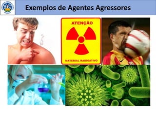 Exemplos de Agentes Agressores
 