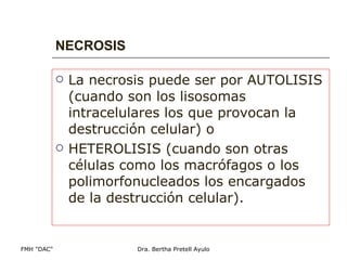 NECROSIS La necrosis puede ser por AUTOLISIS (cuando son los lisosomas intracelulares los que provocan la destrucción celular) o  HETEROLISIS (cuando son otras células como los macrófagos o los polimorfonucleados los encargados de la destrucción celular).  