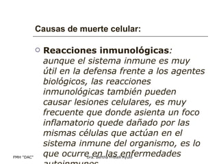 Causas de muerte celular: Reacciones inmunológicas : aunque el sistema inmune es muy útil en la defensa frente a los agentes biológicos, las reacciones inmunológicas también pueden causar lesiones celulares, es muy frecuente que donde asienta un foco inflamatorio quede dañado por las mismas células que actúan en el sistema inmune del organismo, es lo que ocurre en las enfermedades autoinmunes.  