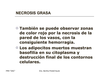 NECROSIS GRASA También se puede observar zonas de color rojo por la necrosis de la pared de los vasos, con la consiguiente hemorragia. Los adipocitos muertos muestran basofilia en su citoplasma y destrucción final de los contornos celulares.   