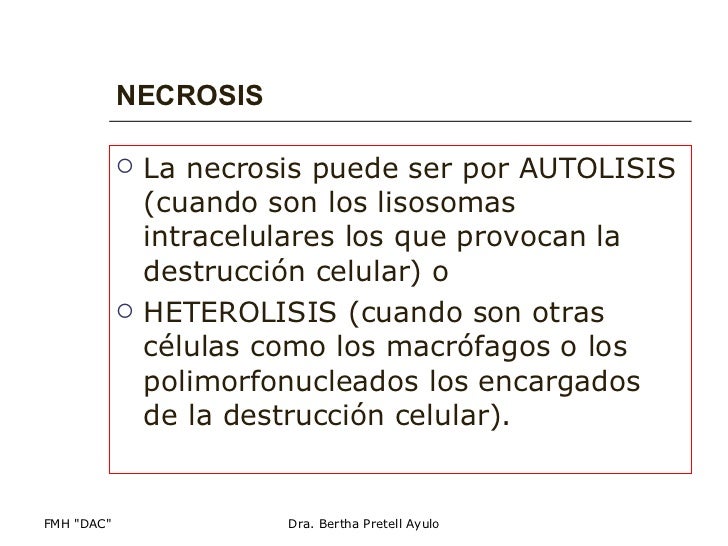 Resultado de imagen para consecuencias de la necrosis