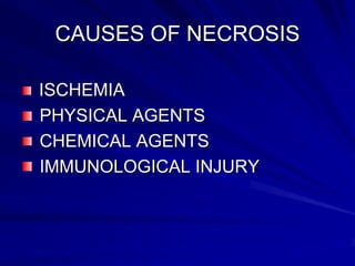 Necrosis